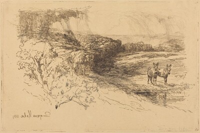Encombe Woods (No.1)