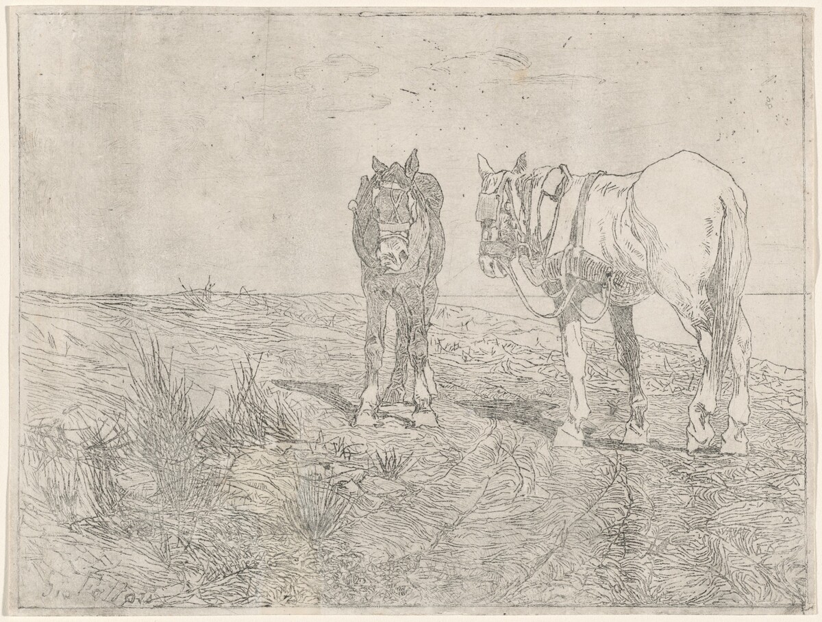 a) Horses at Rest (recto); b) Horses at Rest (verso) (Sosta di cavalli) by Giovanni Fattori