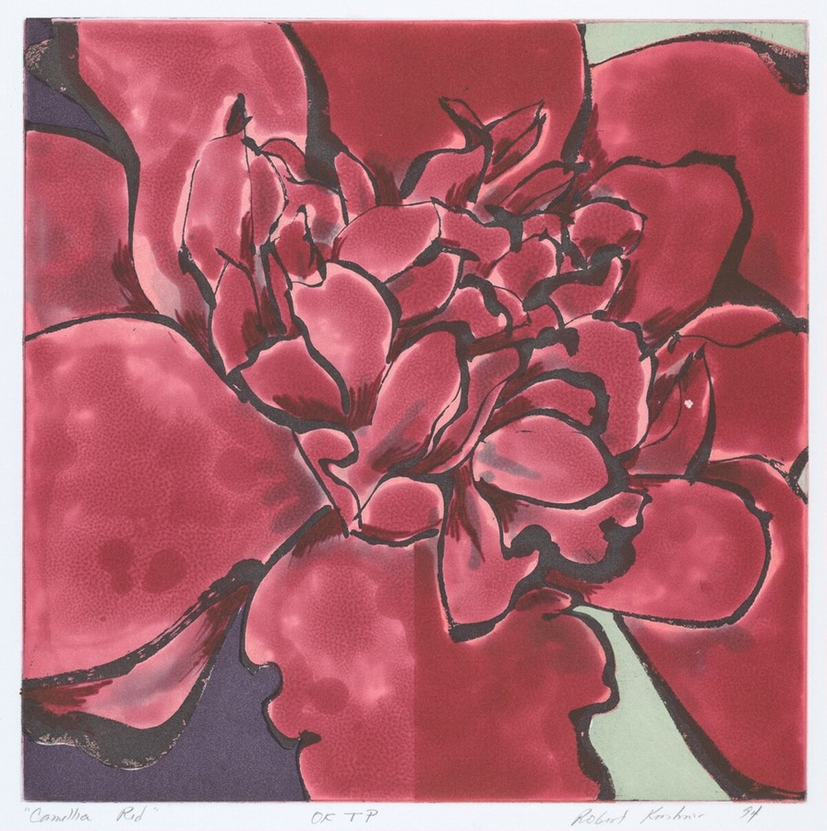 Camellia Red by Robert Kushner