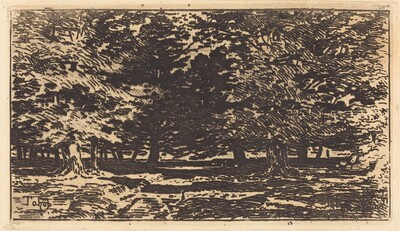Forêt