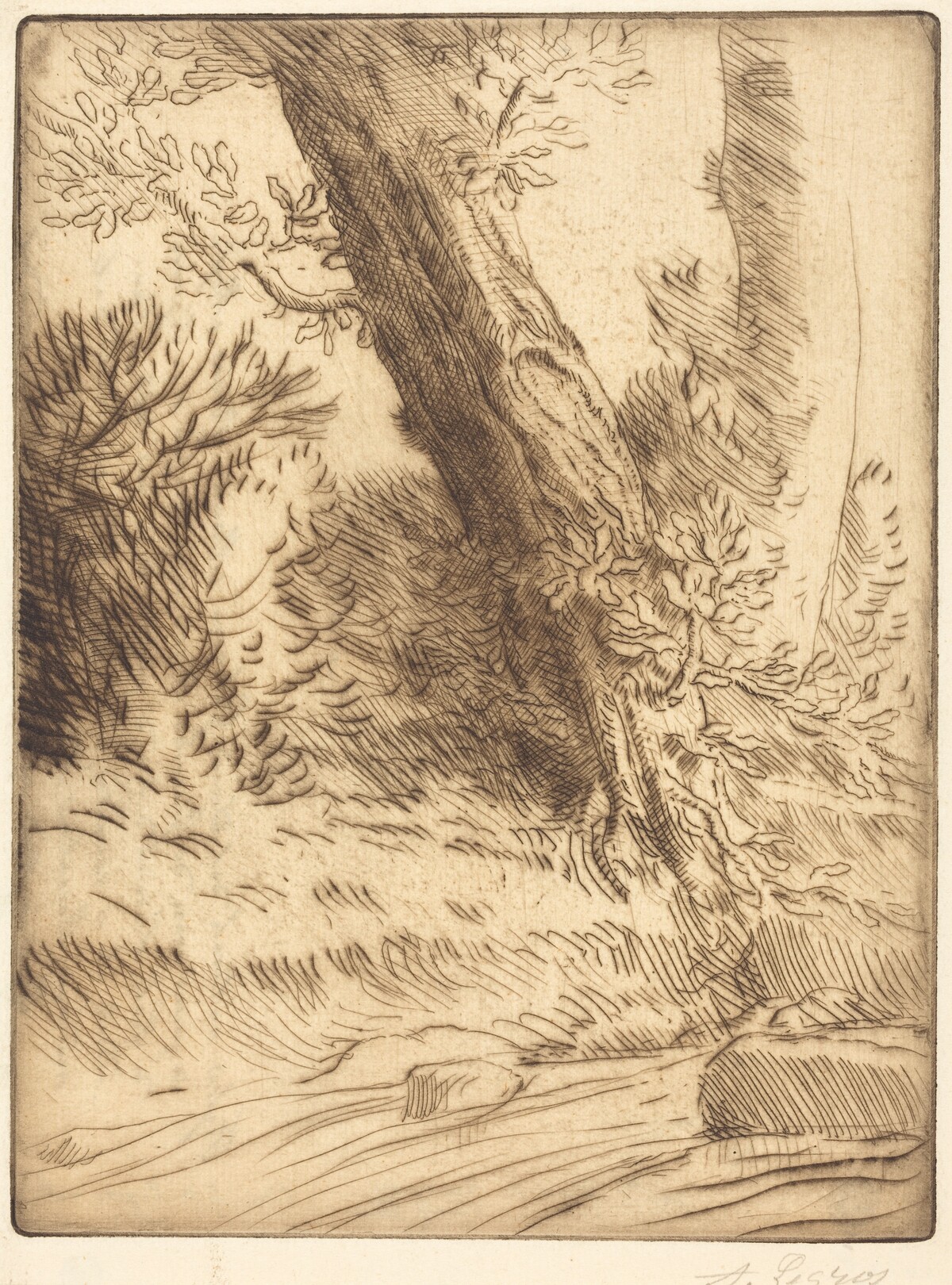 Edge of a Brook (Bord de ruisseau) by Alphonse Legros