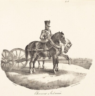 Cheveaux des Ardennes