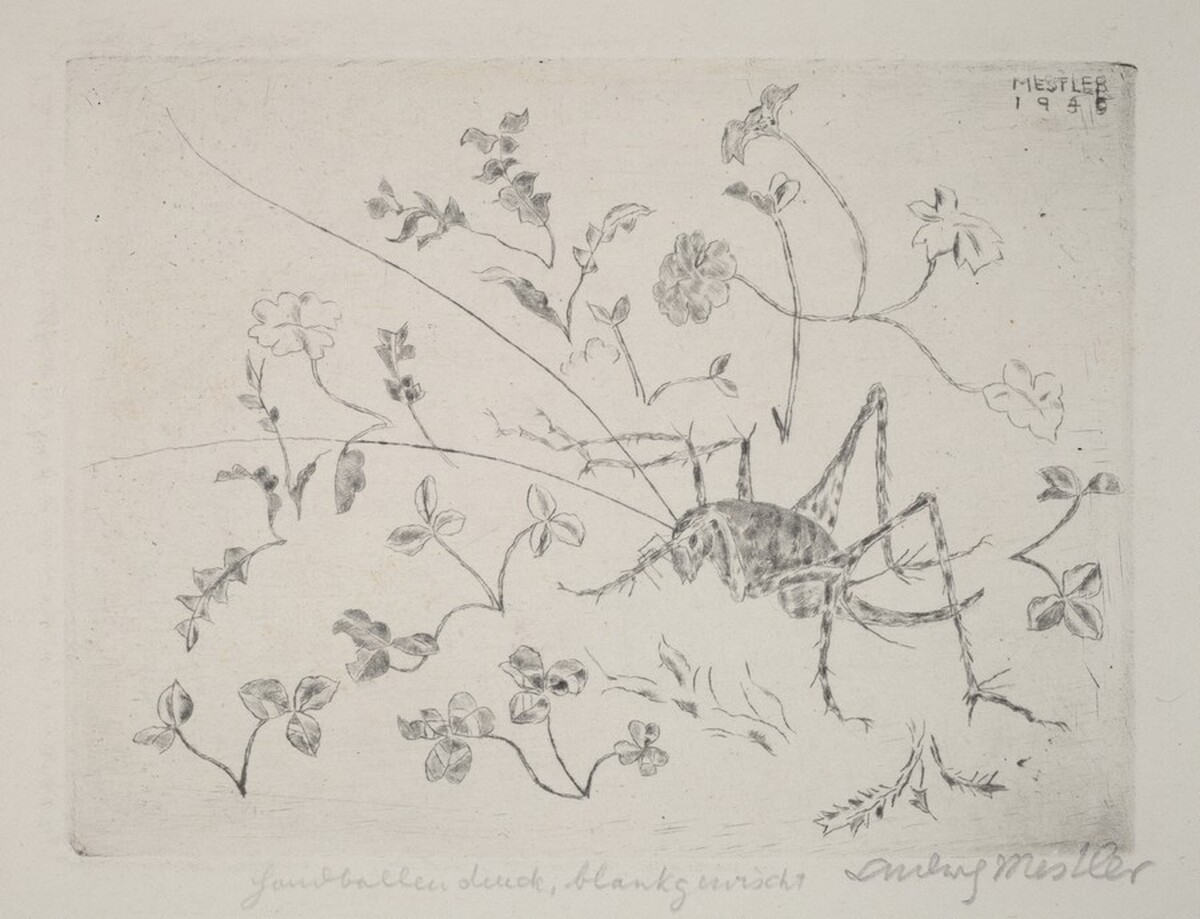Grasshopper by Ludwig Mestler