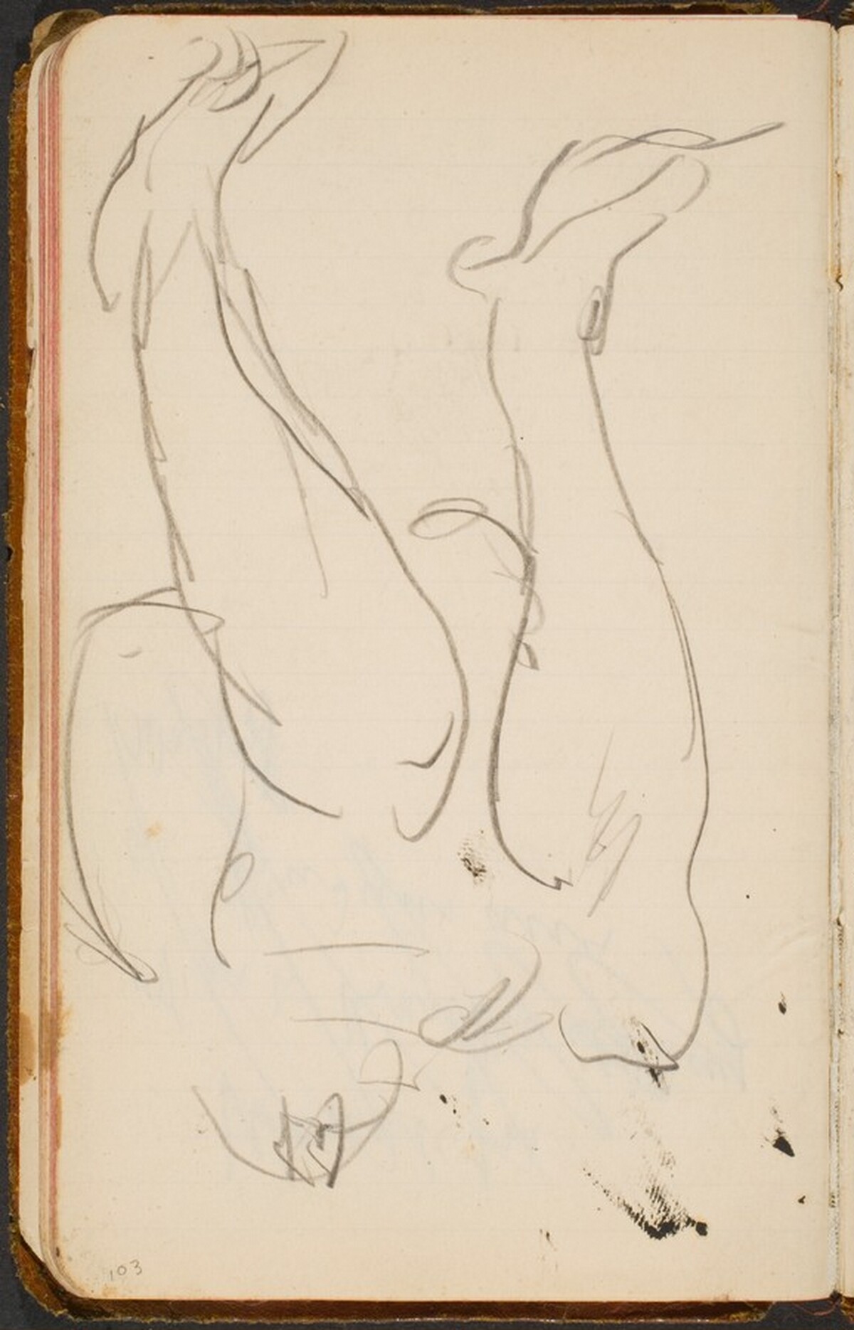 Frauenbeine (Woman's Legs) [p. 103] by Max Beckmann