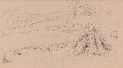The Harvest Field