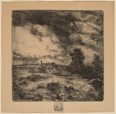 Landscape
