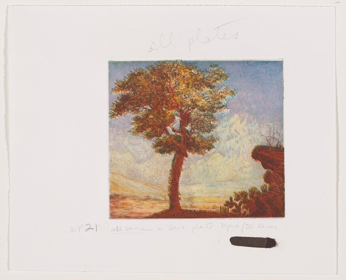Untitled (#2) [working proof 21] by Joan Nelson