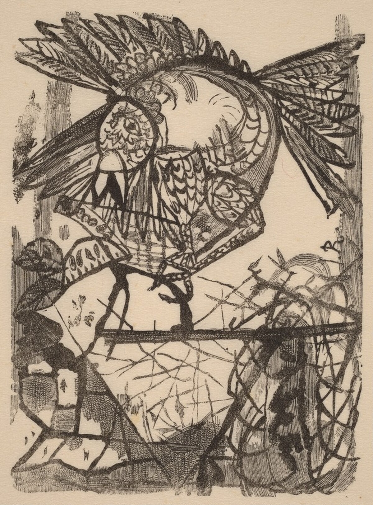 Der Vogel & Sein Nest by Imre Reiner
