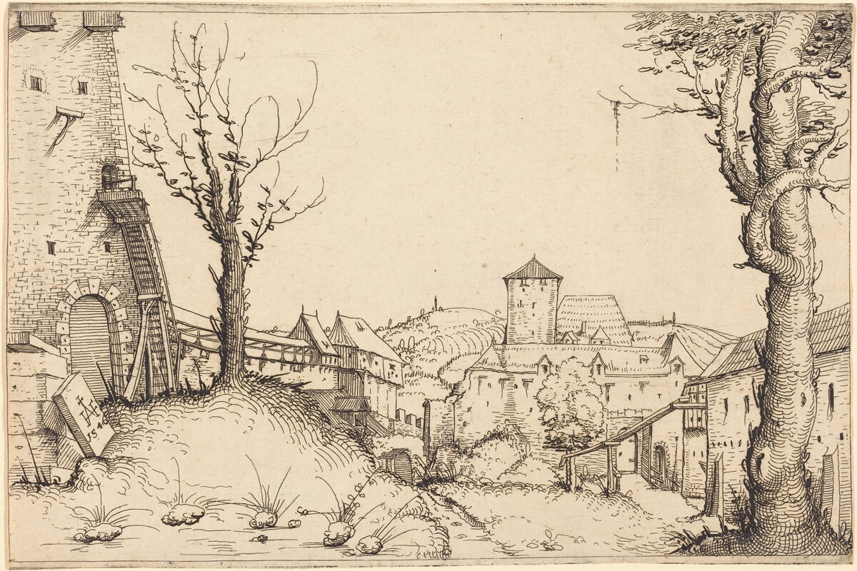 Courtyard of a Castle by Augustin Hirschvogel
