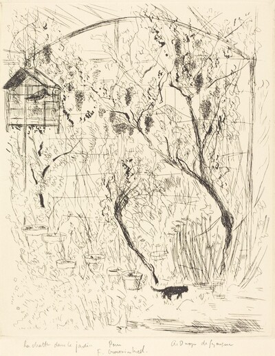 La chatte dans le jardin