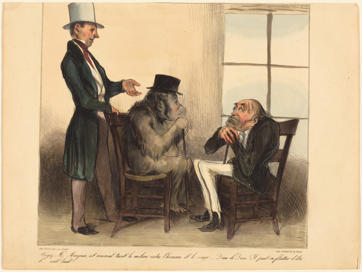 Voyez, Mr. Mayeux, cet animal... by Honoré Daumier