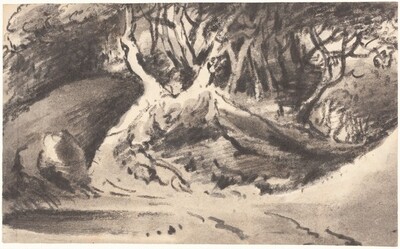 Wooded Landscape