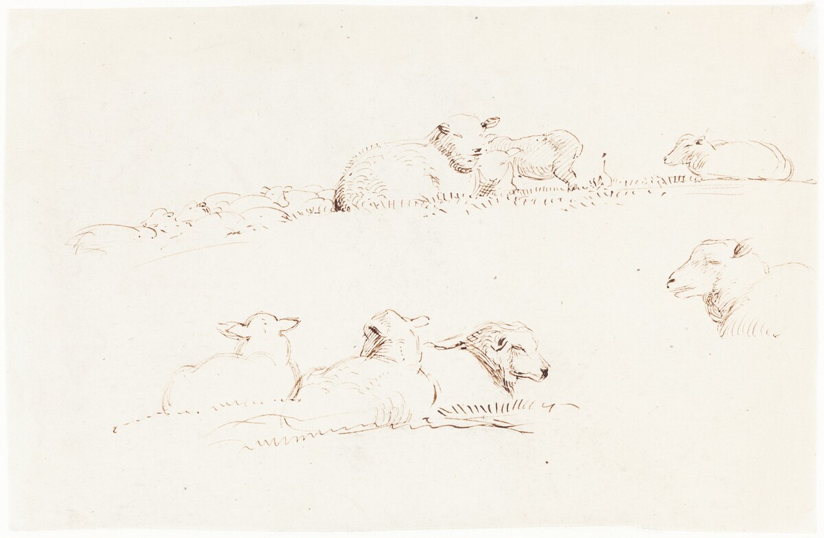 Studies of Sheep in Pasture by George Richmond