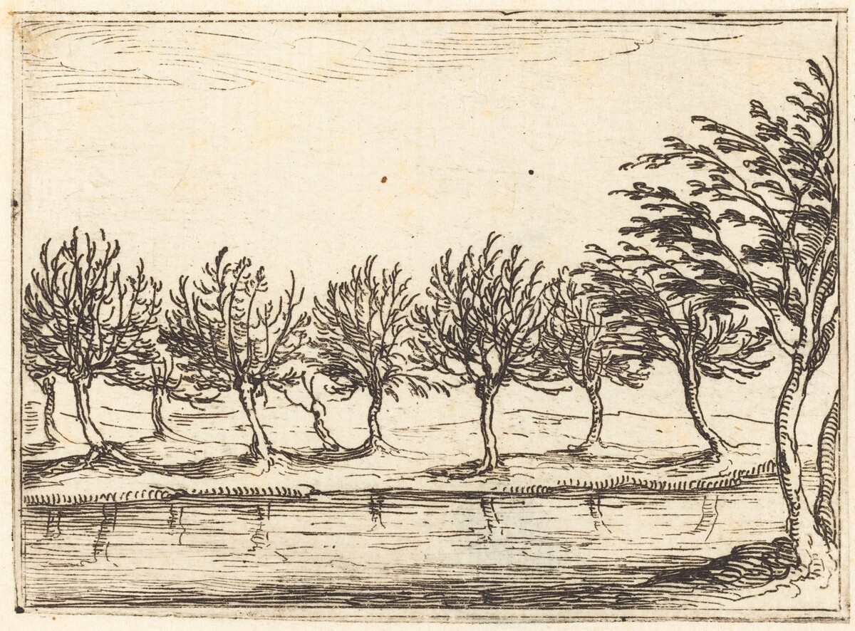 Willows by the Water's Edge by Jacques Callot