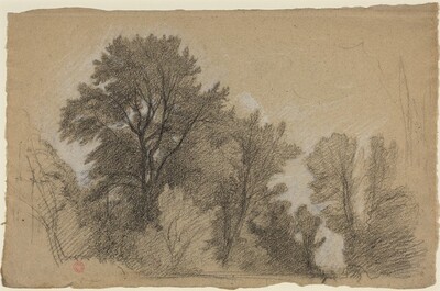 Edge of a Wood