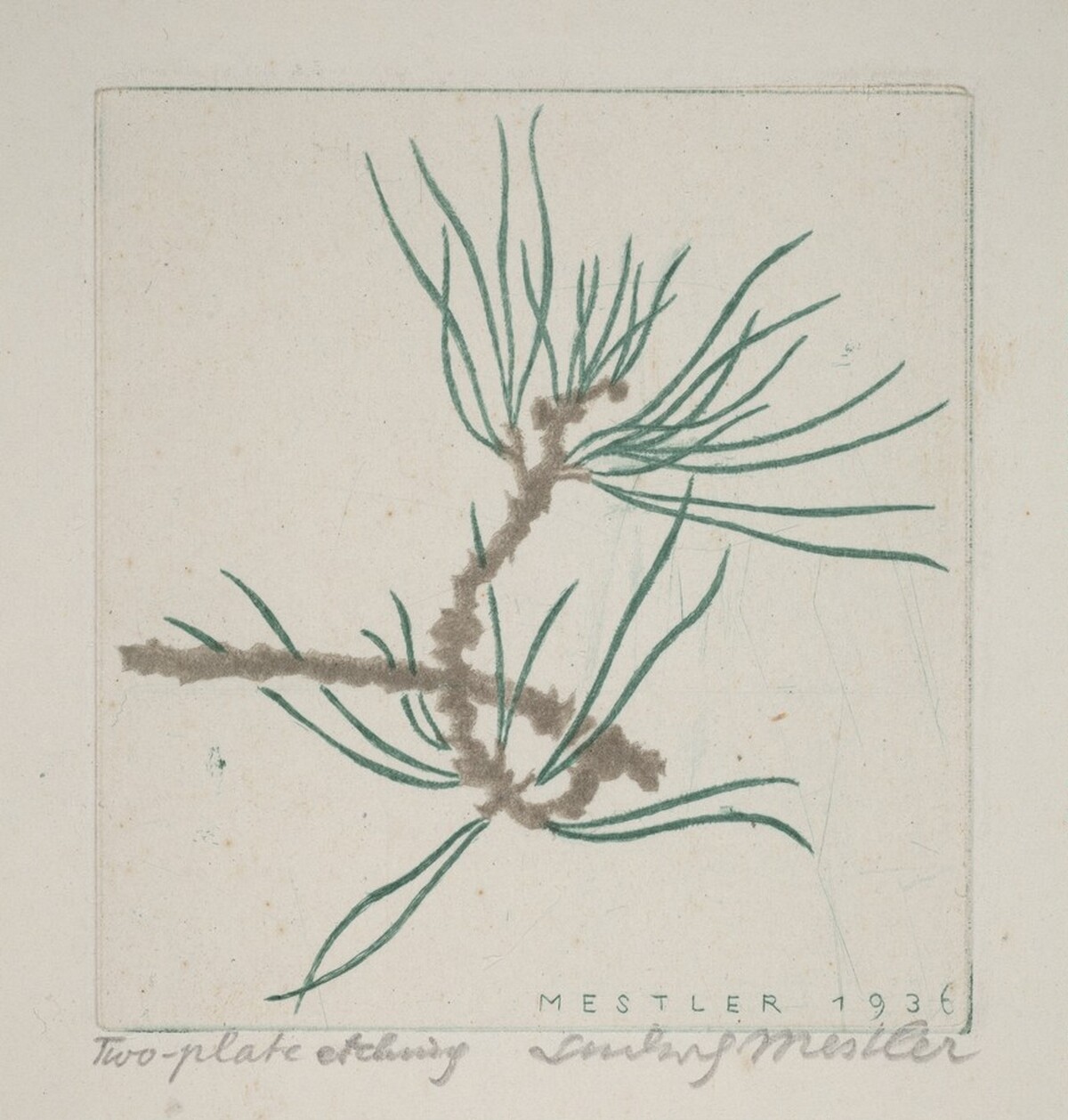 Pine Twig by Ludwig Mestler
