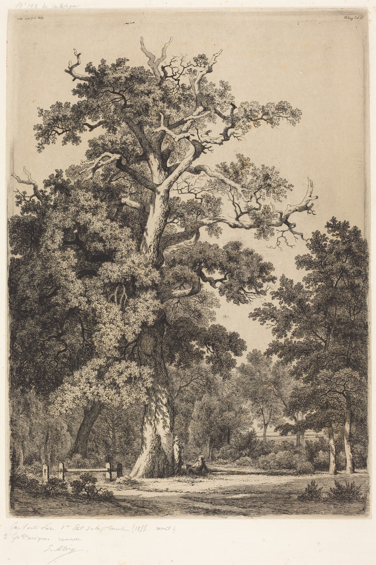 Ancient Oak in the Bois de Boulougne by Eugène Bléry