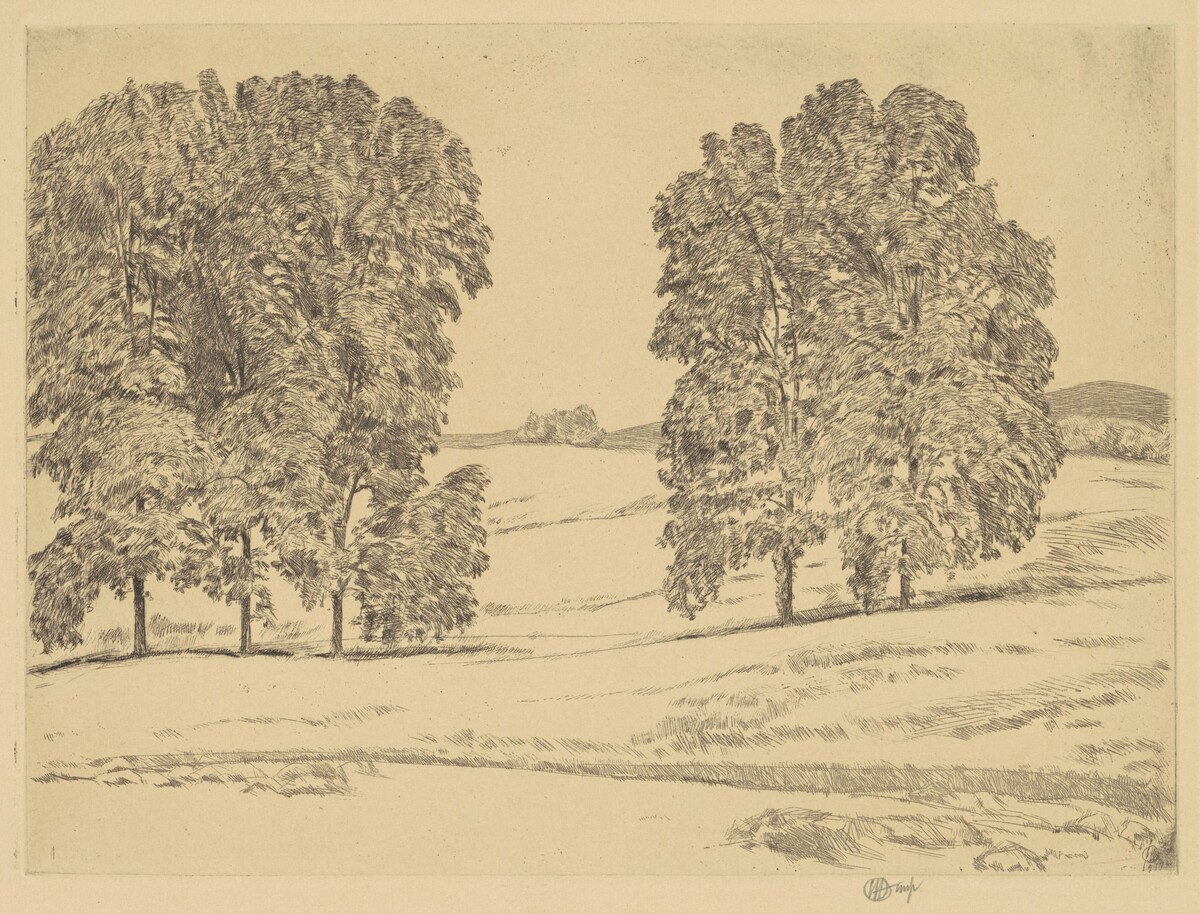 Hickories in a Hayfield by Childe Hassam