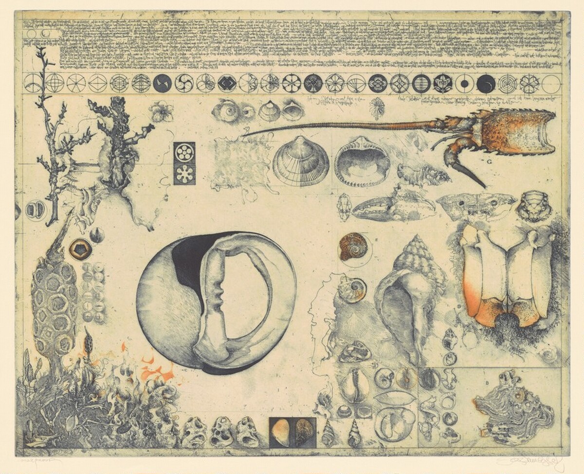 Diary and Shells by Jörg Schmeisser