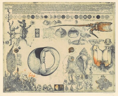 Diary and Shells