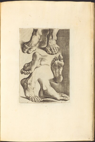 Print from Drawing Book