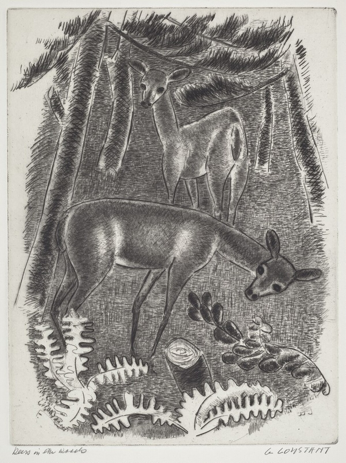 Deers in the Woods by George Constant