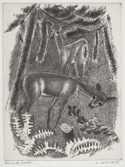 Deers in the Woods
