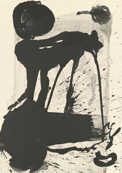 Black Spider Man