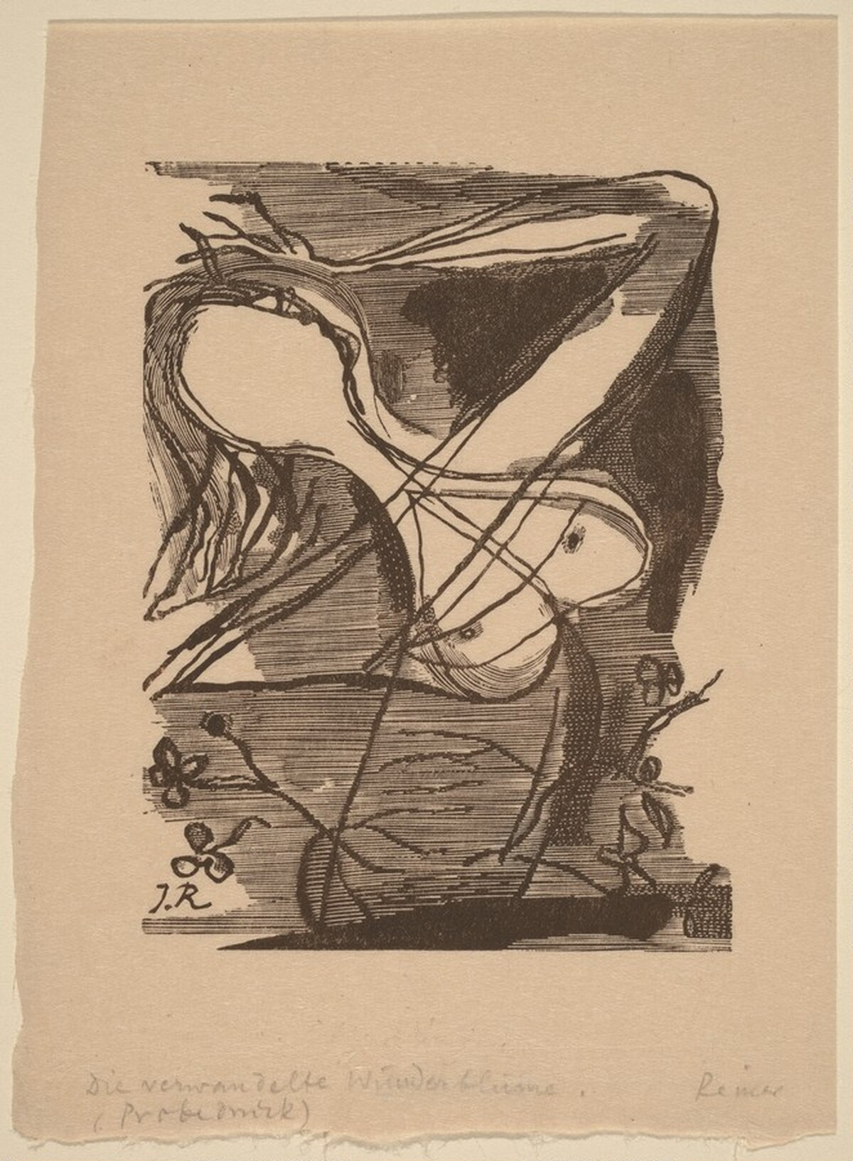 Die Verwandelte Wunderblume by Imre Reiner