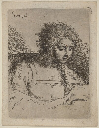 Half-Length Figure Reading