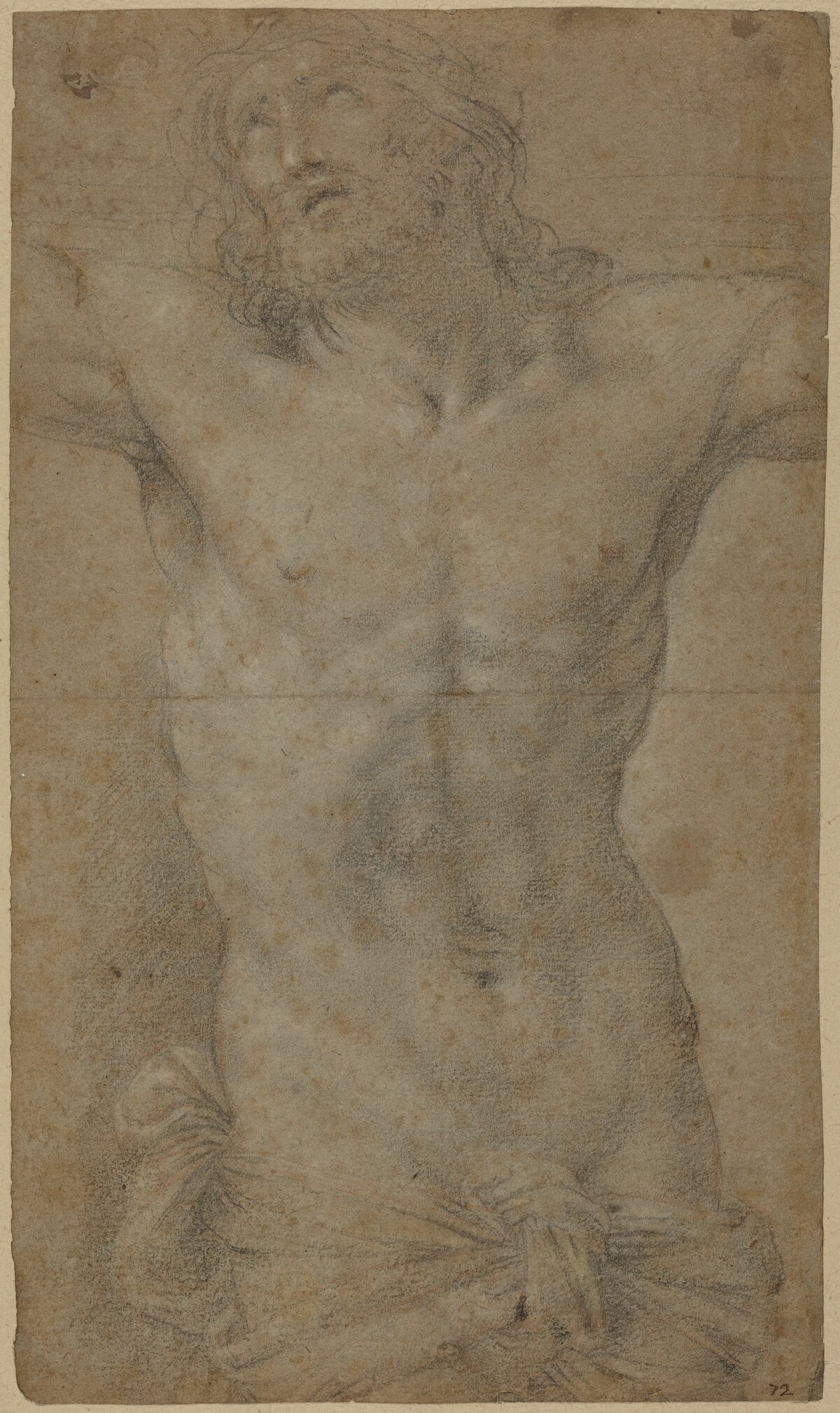 Torso of Christ on the Cross by Attributed to Guido Reni