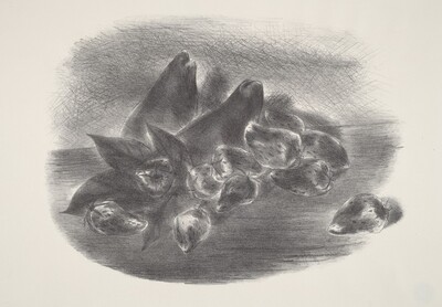 Two Pears and Strawberries—(Still Life)