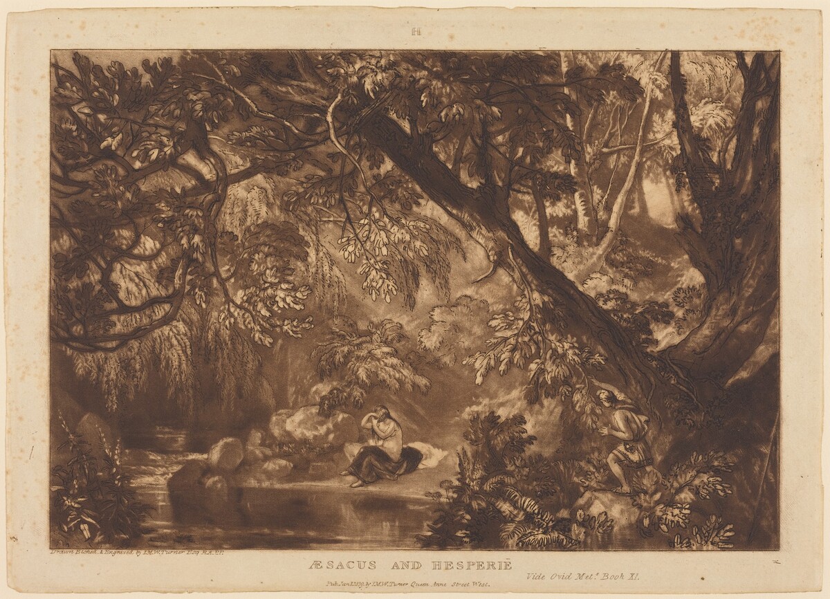 Aesacus and Hesperie by Joseph Mallord William Turner