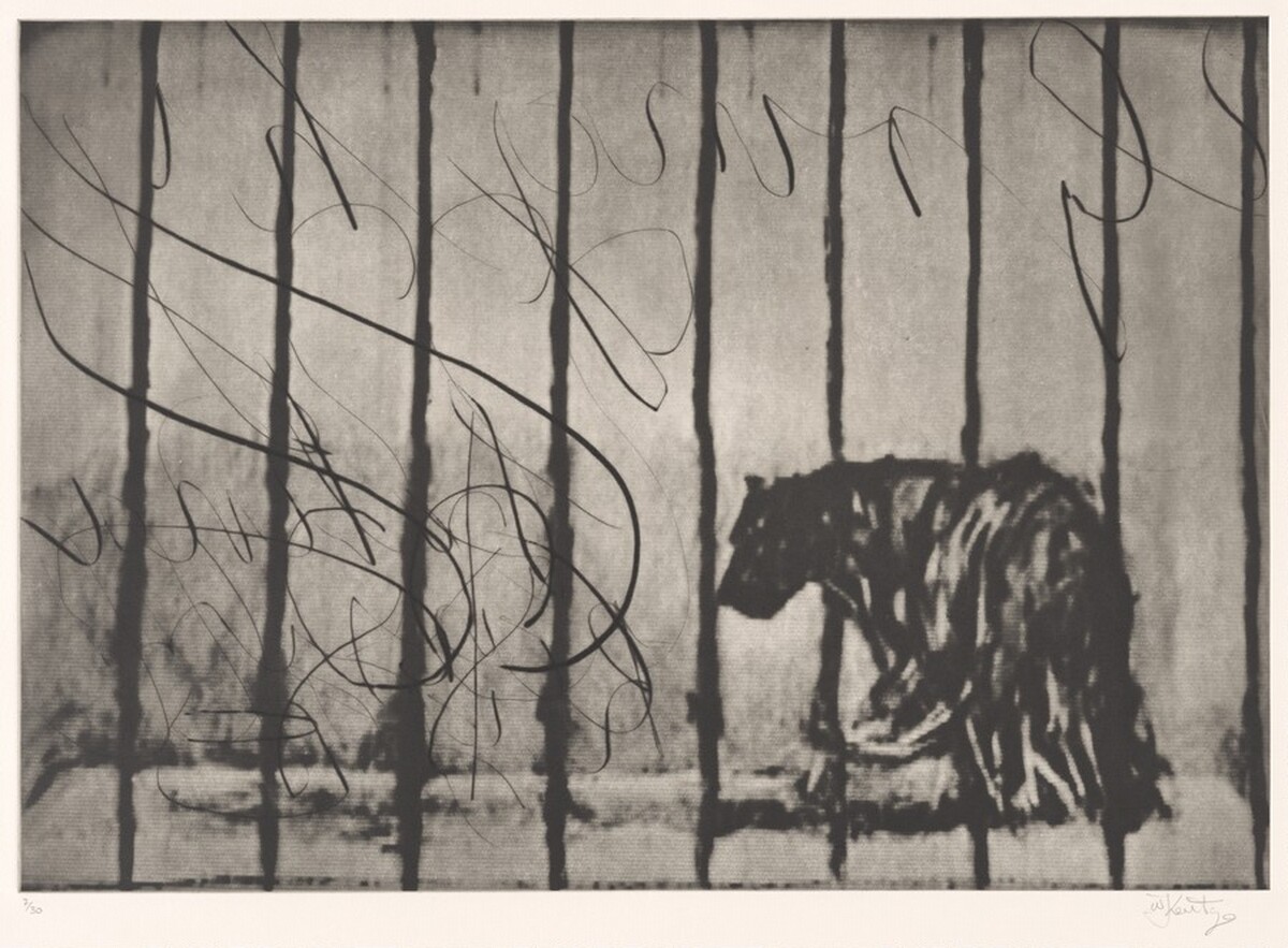 Caged Panther by William Kentridge