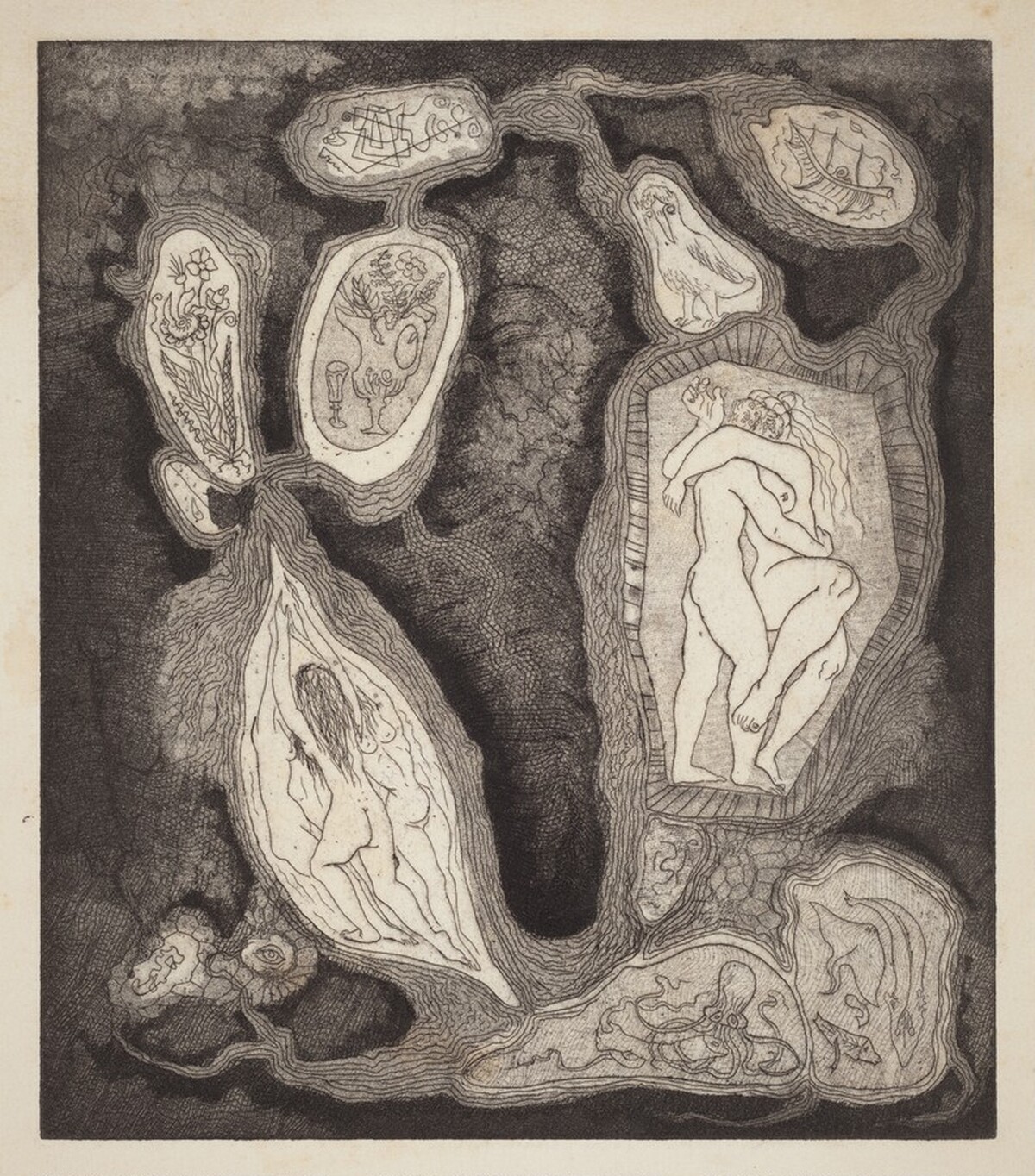 Cells by Bror Utter