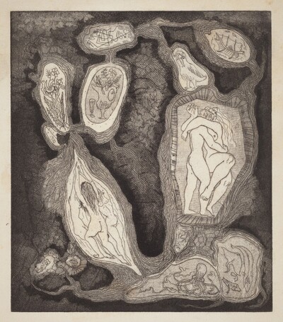 Cells