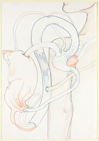 Armpiece for Creature
