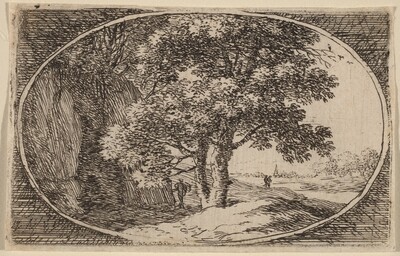 The Tree with a Double Trunk
