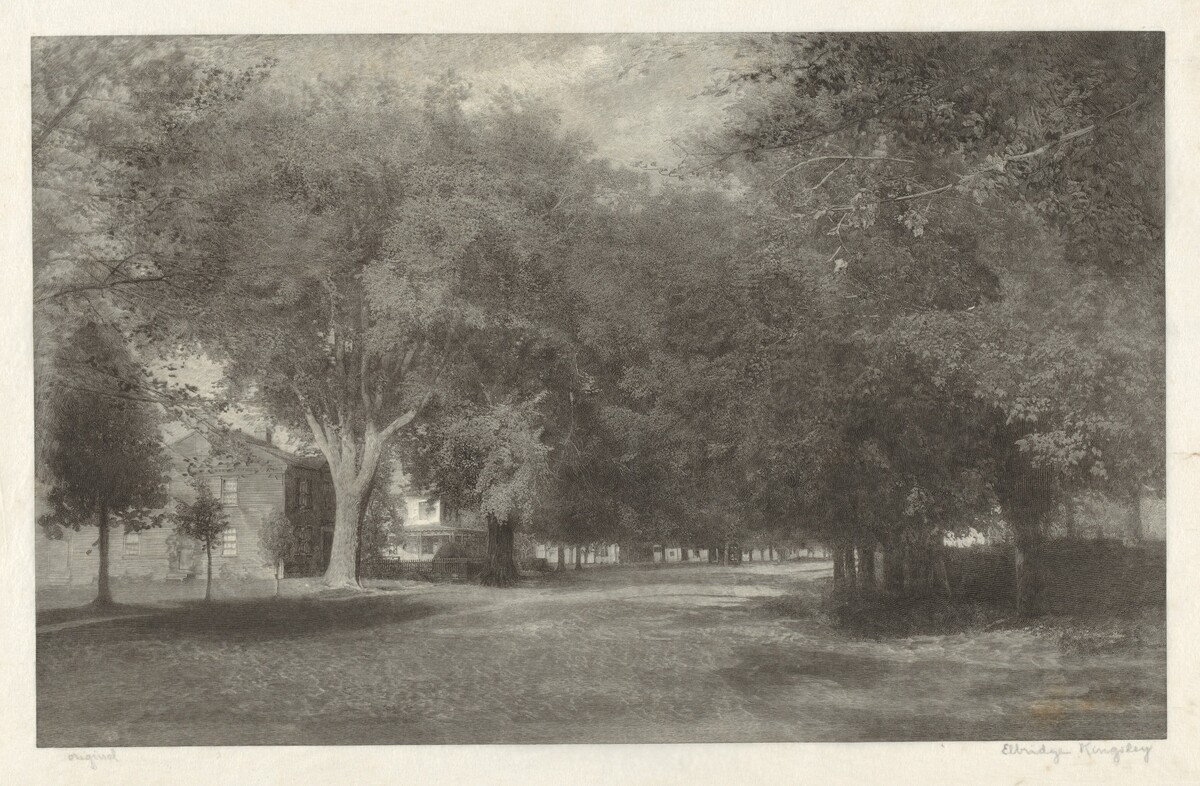 New England Elms by Elbridge Kingsley
