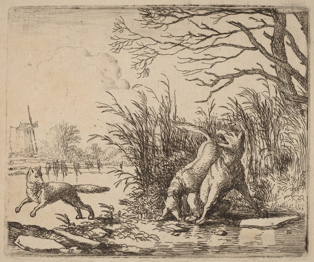 The Wolves on the Ice by Allart van Everdingen