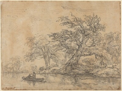 Old Trees along a Bank