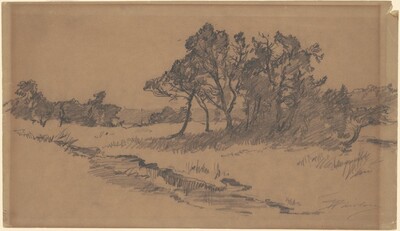 Trees in a Field