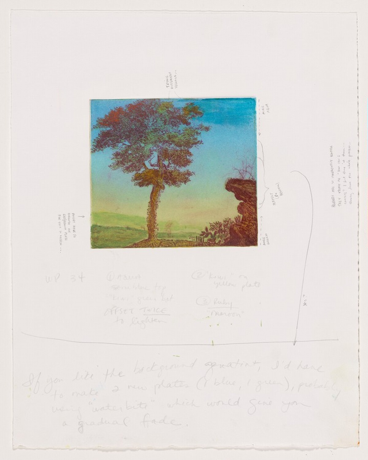 Untitled (#2) [working proof 34] by Joan Nelson