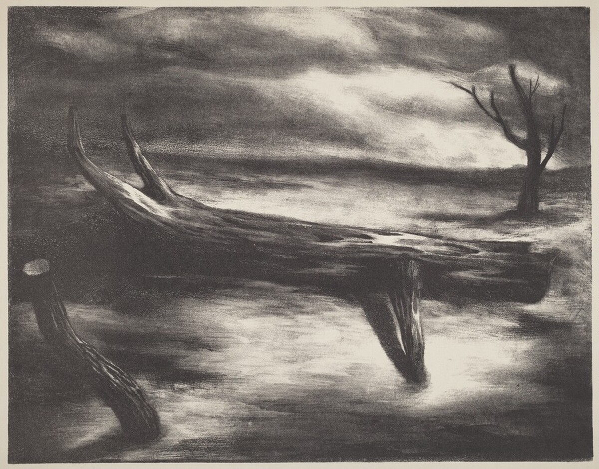 Darkness by Thomas Danaher
