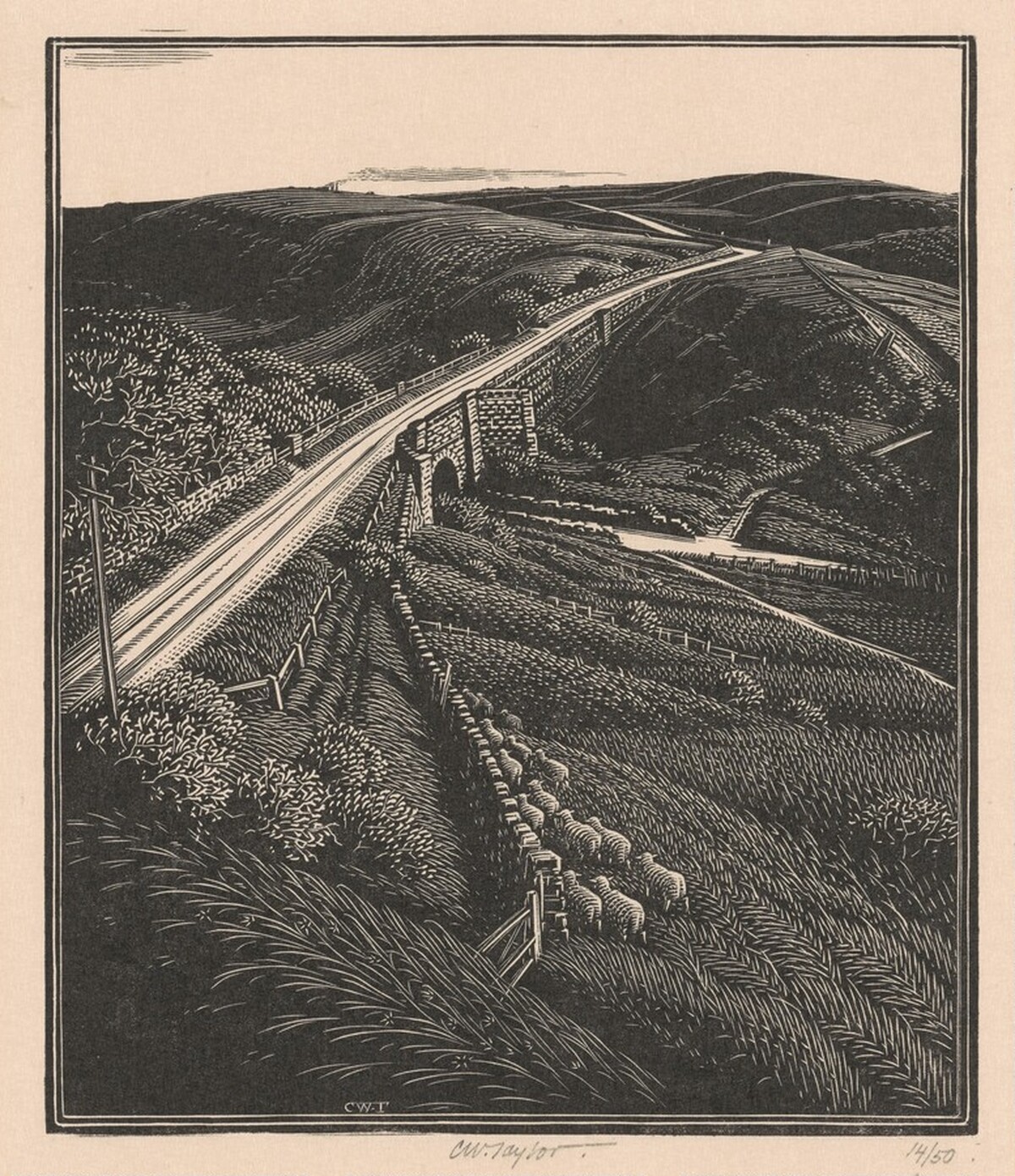 Dacre Bank, Yorkshire by Charles William Taylor