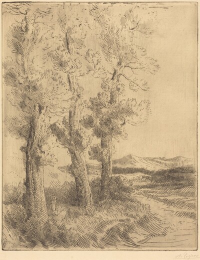 Woman Reading: Lesson under the Trees (La liseuse: La lecture sous les arbres)