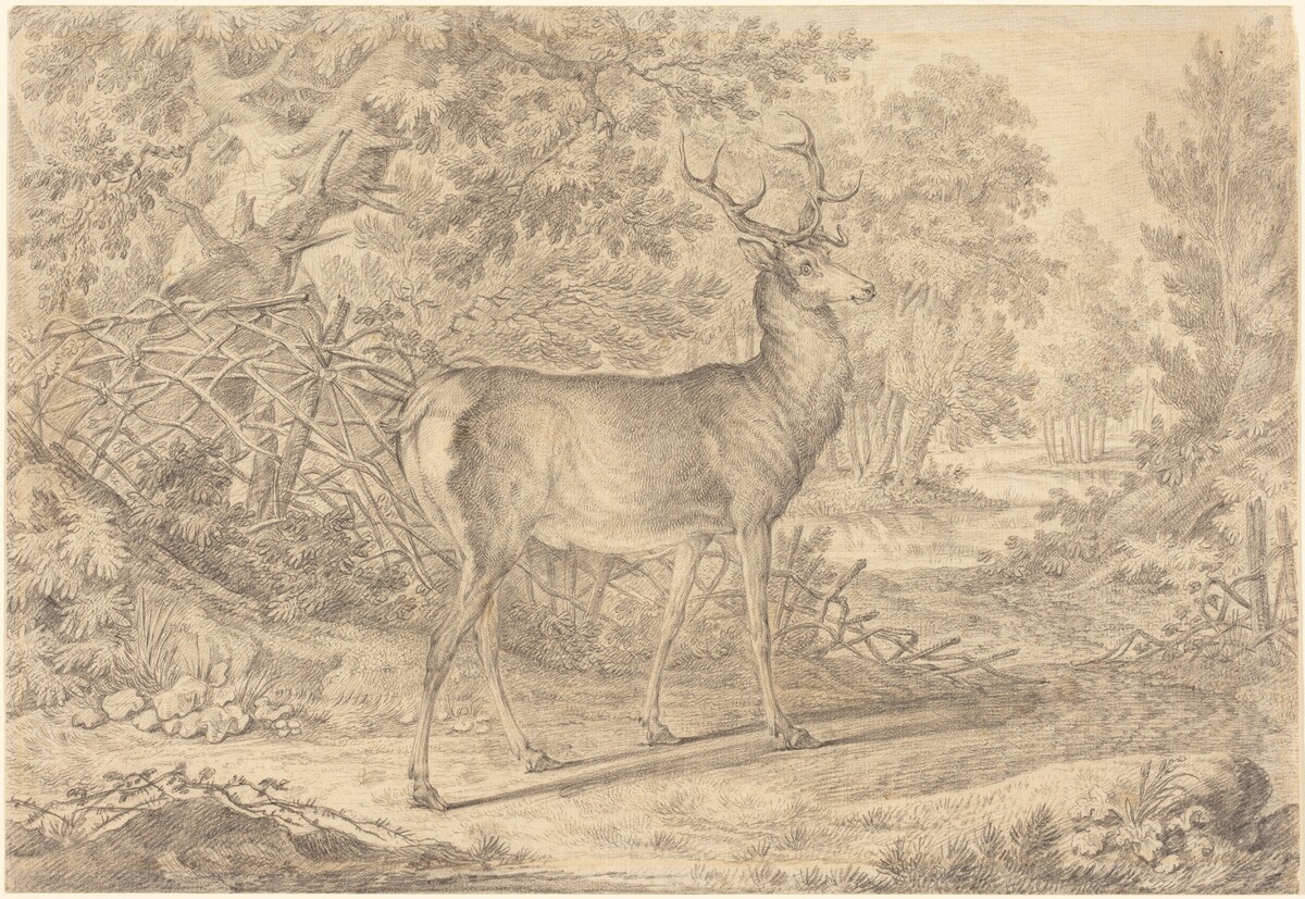 A Splendid Young Stag before a Wattle Fence by Johann Elias Ridinger
