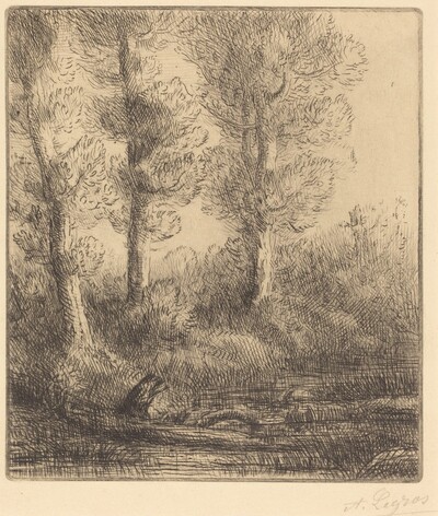 Banks of the Saint-Pre (Rive du Saint-Pre)