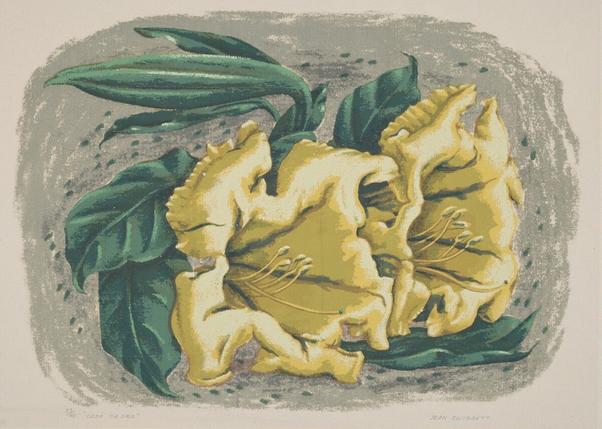 Copa de Oro by Jean Donald Swiggett