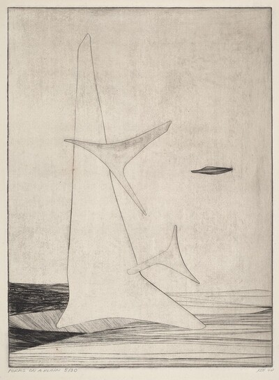 Forms on a Plain